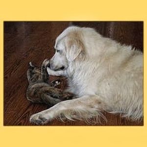 Meet your Posher, Gina